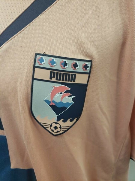 Pink Dolphin x Puma Soccer Jersey Size Small Blue