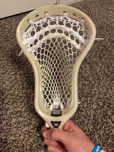 Barely used Natural ECD DNA