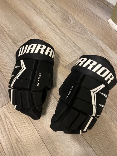 Warrior 13" Alpha DX5 Gloves