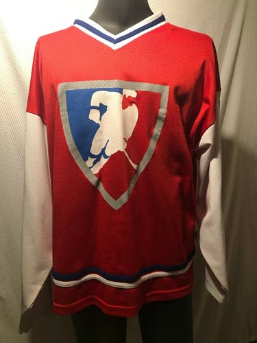 2004 World Hockey Championships Czech Budvar Prague & Ostrava Hockey Fan Jersey