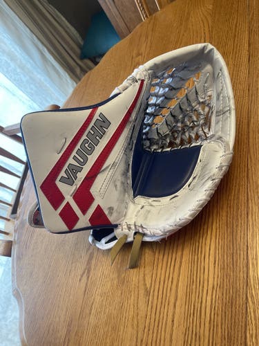 Used Regular  Velocity VE8