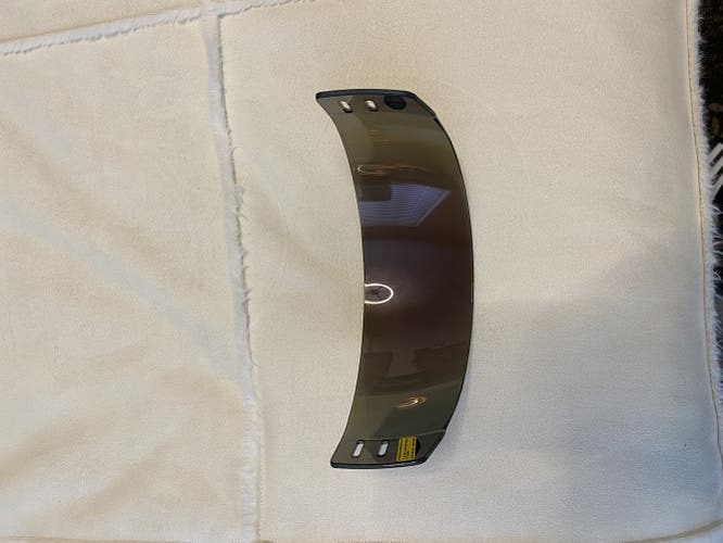 GL Tinted Hockey Visor