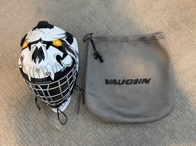 Ice Hockey Goalie Mask