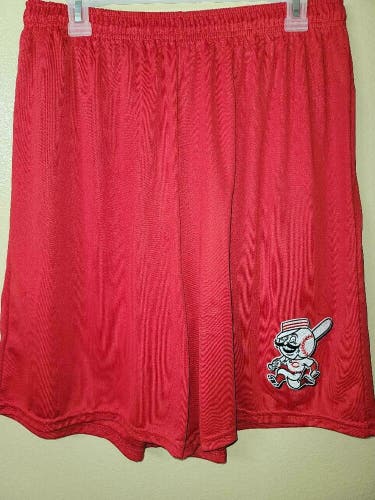 0724 Boys Youth CINCINNATI REDS Jersey Polyester Embroidered SHORTS RED New