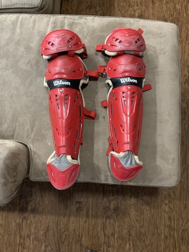 Wilson C1K Catcher's Set Plus Mizuno Samuri Rolling Bag