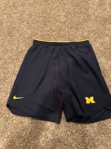 Mens Large Michigan DriFit shorts