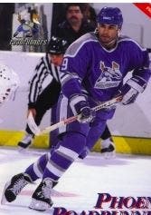 Vintage Peoria/Phoenix Roadrunners JERSEY/SOCKS COMBO MENS SMALL