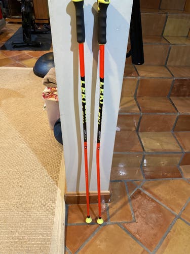Used 46in (115cm) Racing World Cup - GS Ski Poles