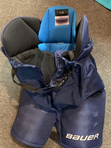 Senior Large Bauer Nexus Custom Pro Hockey Pants