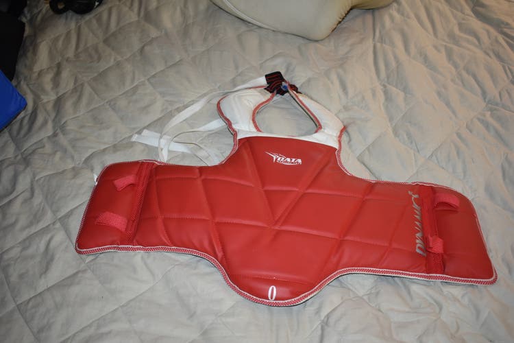 Martial Arts Chest Protector, Red/Blue Reversible - Great Condition!