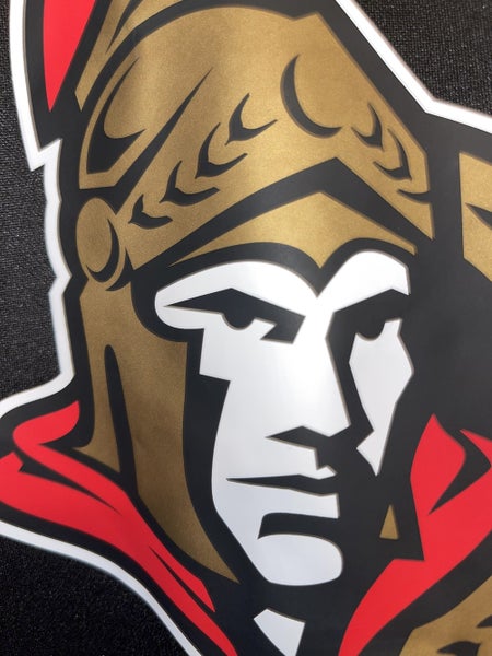 Ottawa Senators Logo NHL Teams Hoodie And Pants For Fans Custom Name -  Banantees