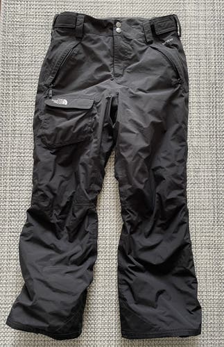 The North Face ski or snowboard pants