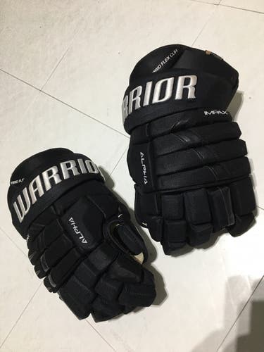 Warrior 15" Alpha Pro Gloves