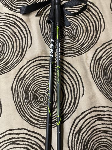 Leki Gravity ski poles