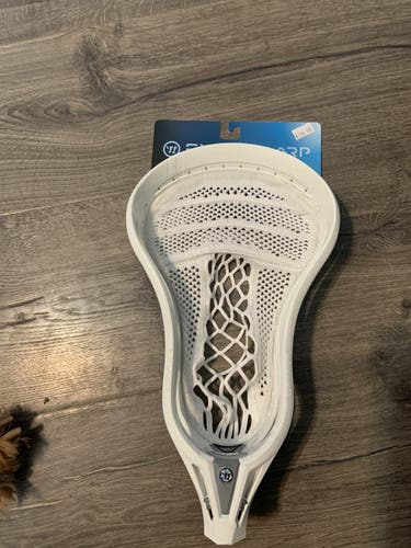 New Evo Warp Pro Head