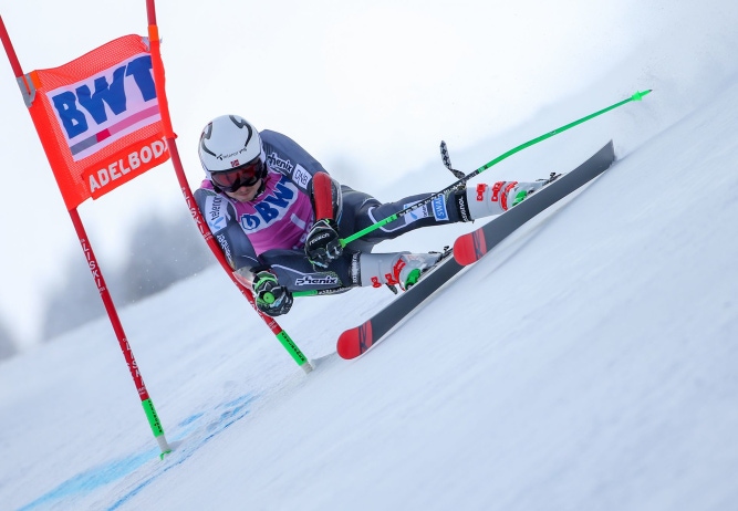125cm - Komperdell Carbon GS ski race Poles NATIONAL TEAM Giant Slalom
