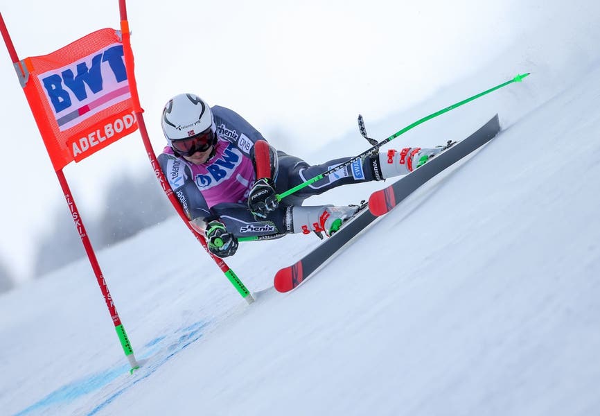 ウィンタースポーツ KOMPERDELL 115cm Nationalteam Carbon SL