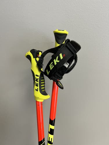 Used 38in (95cm) Racing World Cup Lite SL Ski Poles