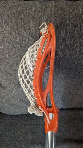 Brine Guru Trick Stick