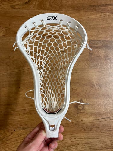 New STX Stallion Head