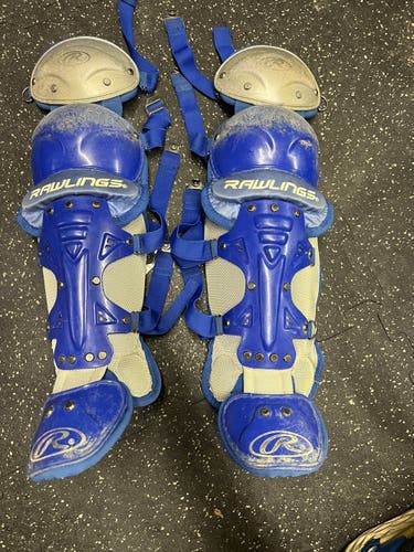 Rawlings Renegade Catcher's Set