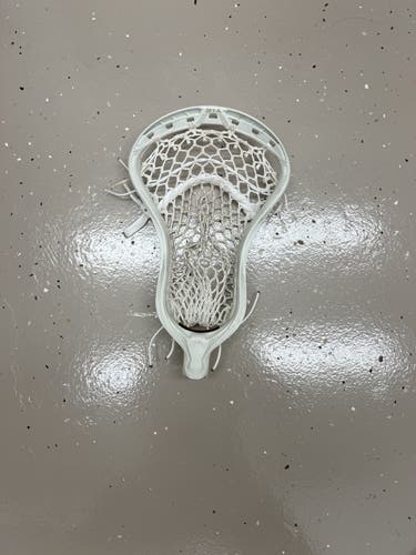 Lightly Used Strung Stallion Omega Head