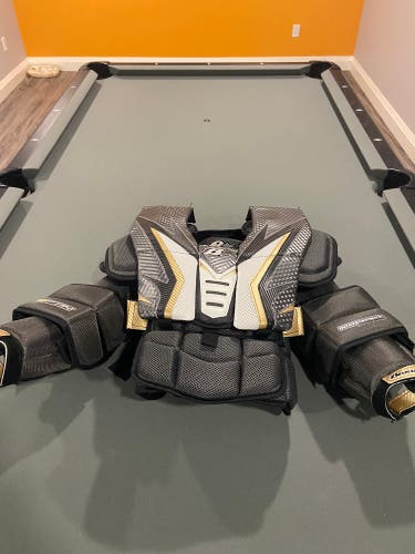 Brians intermediate pro chest protector
