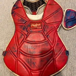 Yadier Molina chest protector