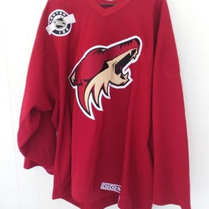 Green Phoenix Coyotes Used Goalie Cut Reebok Jersey Pro Stock