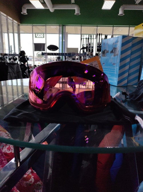 Giro Red Ski Goggles