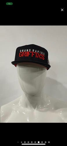 Grand Rapids griffins bundle