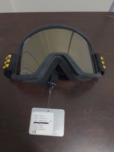 Giro Dylan Ski Goggles