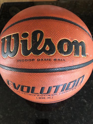 Wilson evolution indoor basketball