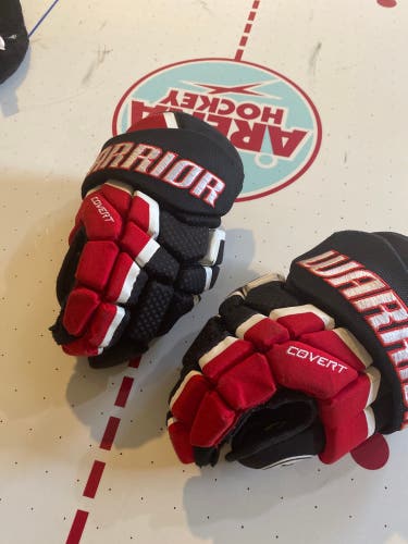 Warrior Jr 12” hockey gloves