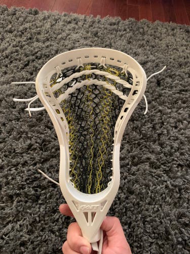 Lightly Used OG Torque