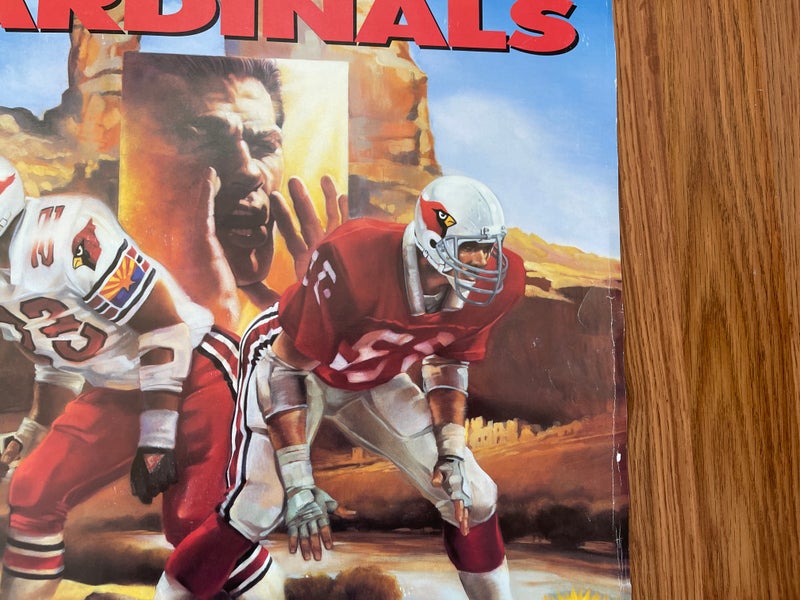 Phoenix Cardinals NFL FOOTBALL SUPER VINTAGE 1993 SUPER BOWL HOST Team  Poster!