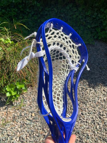 NEW Factory Blue Warrior Evo 4X Head