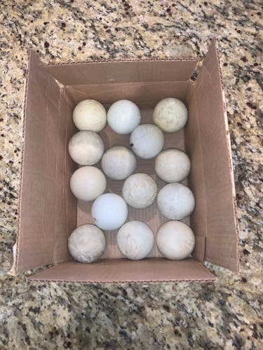 14 pack Lacrosse Ball