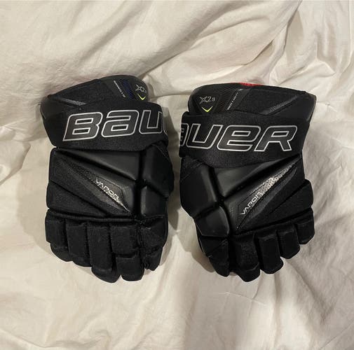 Bauer 13"  Vapor X2.9 Gloves