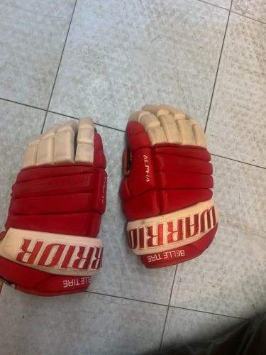 Used Warrior 14" Alpha Pro Gloves