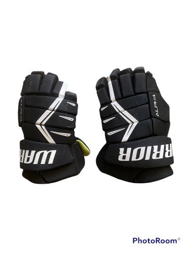 Warrior 12" Alpha DX5 Gloves Junior