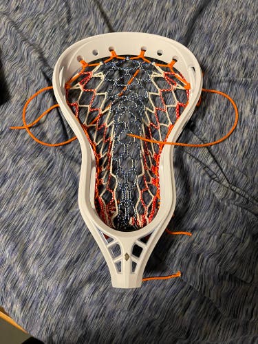 New StringKing Mark 2D Head