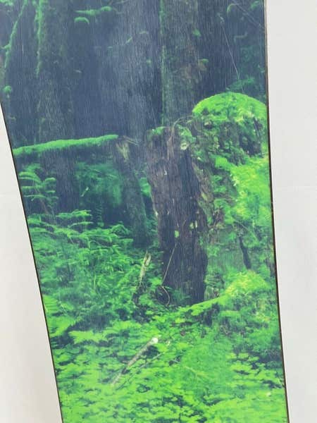 151 cm Burton Family Tree Modified Fish Snowboard 2017