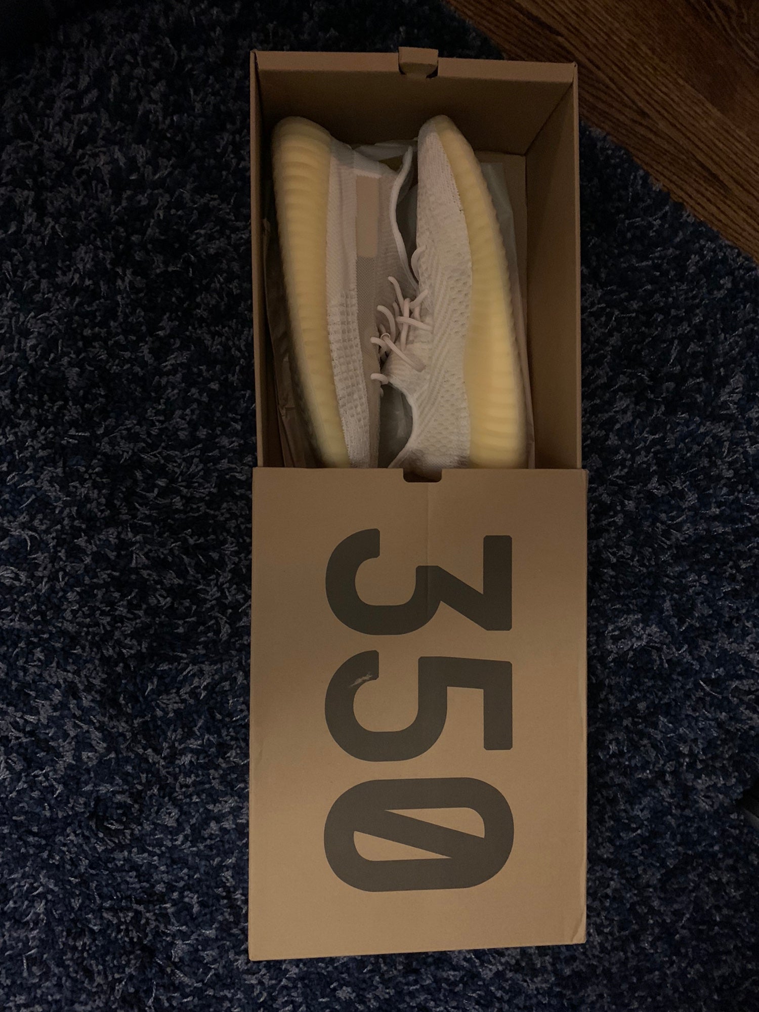 Adidas Yeezy Boost 350 V2 
