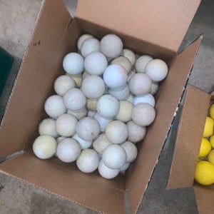 60 White Lacrosse Balls