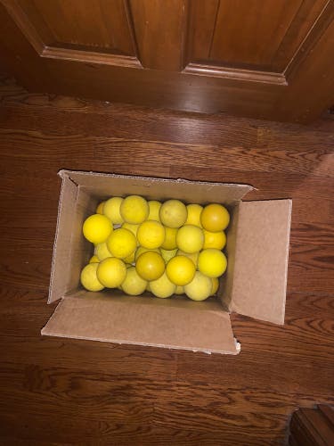 36 pack YELLOW Lacrosse Balls