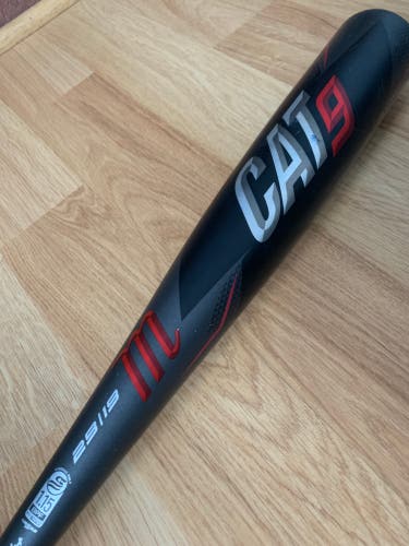 2020 Alloy (-10) 19 oz 29" Cat 9 Bat