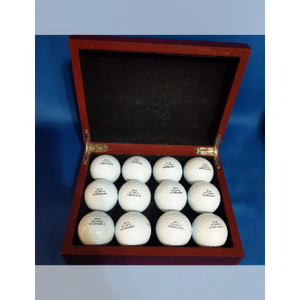 Used Titleist Balls 12 Pack (1 Dozen)