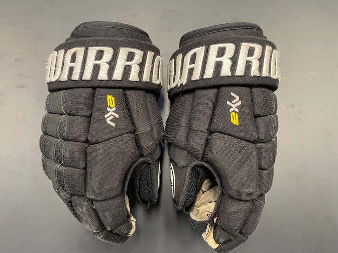 Warrior 12" Dynasty AX2 Gloves