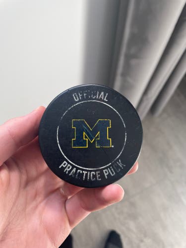 University Of Michigan Game Used Warmup Used Hockey Puck Caught In Warmups